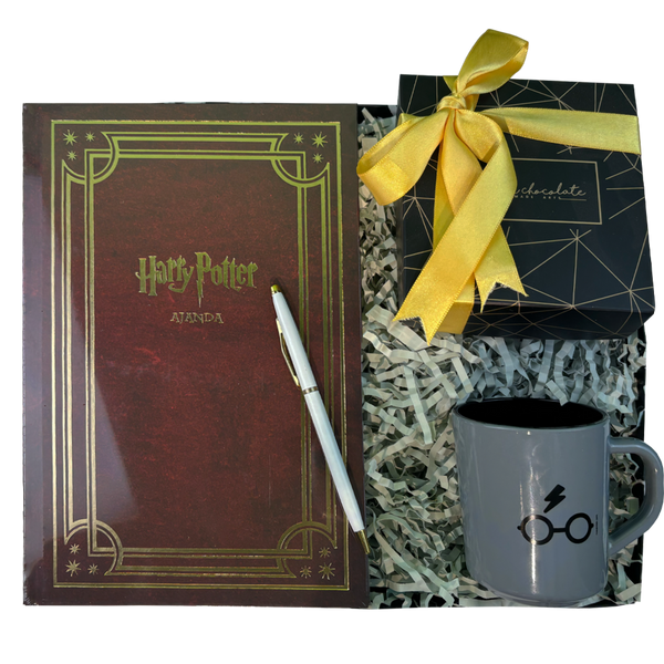 Harry Potter Gryffindor Hediye Kutusu