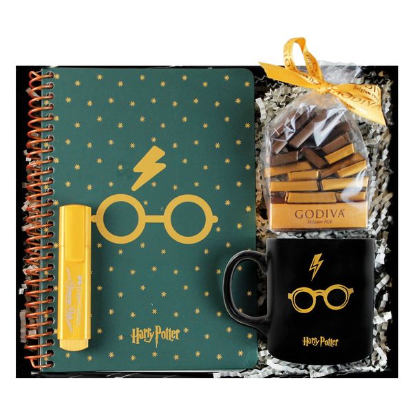 Harry Potter Glasses Koleksiyon Hediye Kutusu