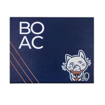 BOAC PR Kiti kurumsal PR kiti