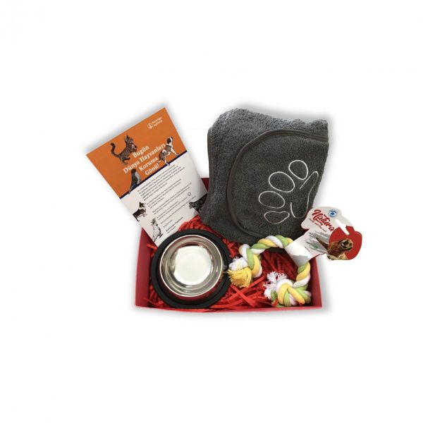 61941-boehringer-ingelheim---dunya-hayvanlari-koruma-gunu