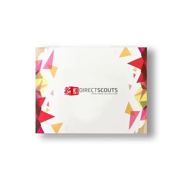 DIRECTSCOUTS 