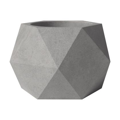 Geometrik Beton Saksı Sukulent