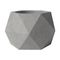 Geometrik Beton Saksı Sukulent - BİTKİLER & SAKSILAR