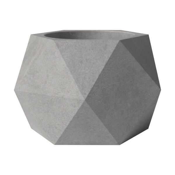 Geometrik Beton Saksı Sukulent - BİTKİLER & SAKSILAR