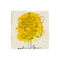 624193-happy-birthday-to-you-tas-bardak-altligi-
