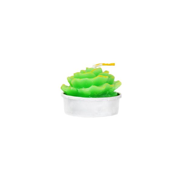2'li Kaktüs Tealight Mum - MUMLAR (2)