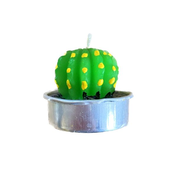 2'li Kaktüs Tealight Mum - MUMLAR (4)