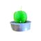 2'li Kaktüs Tealight Mum - MUMLAR (5)