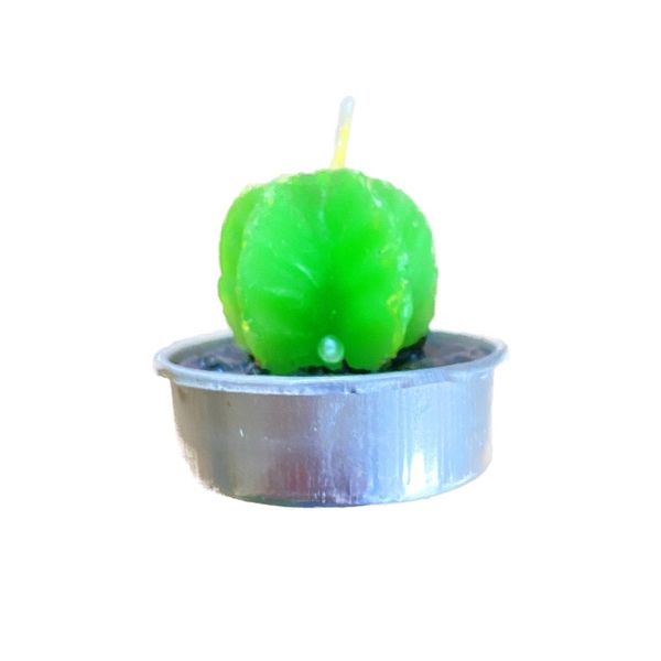 2'li Kaktüs Tealight Mum - MUMLAR (5)