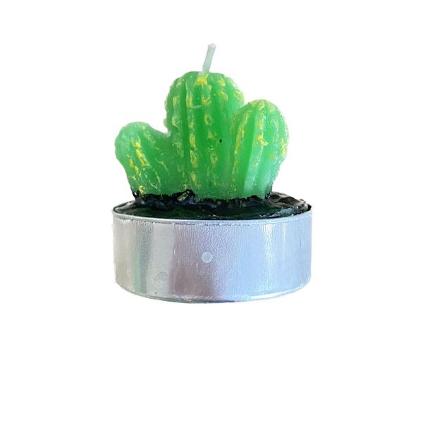 2'li Kaktüs Tealight Mum - MUMLAR