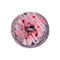 Donut Çorap - ÇORAPLAR