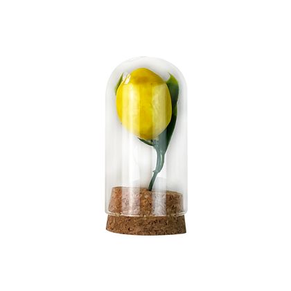 Limonlu Fanus