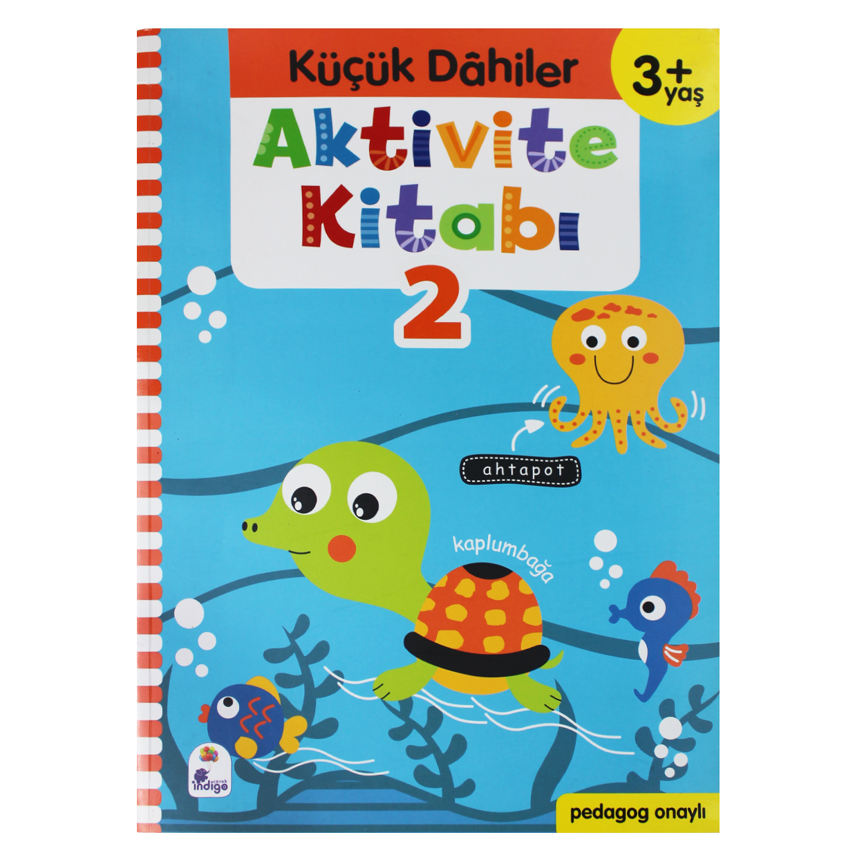 958456-kk-dahiler-aktivite-kitab-2-