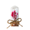 993804-pembe-iekli-cam-fanus-