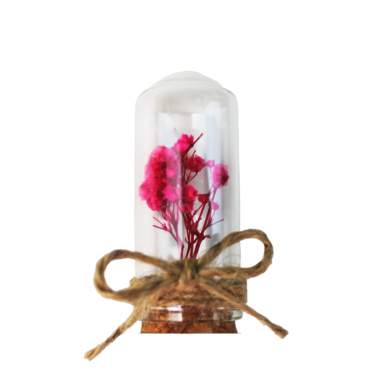 993804-pembe-iekli-cam-fanus-