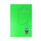 Yeşil Çizgili A4 Defter - DEFTERLER