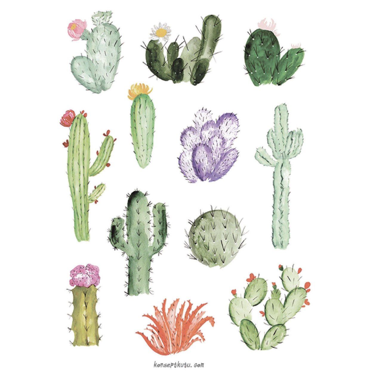 665774-kaktus-motto-karti