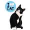 Blue  I Love Cat  Motto Kartı - MOTTO KARTLARI