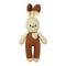 Amigurumi Tavşan - Uykucu Tavşan Bebek Hediye Kutusu içinde
